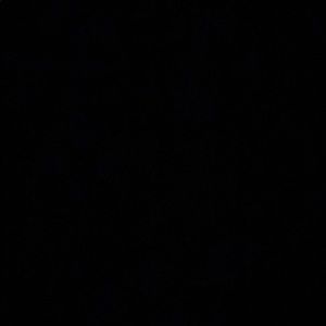 Meet your Posher, Manny